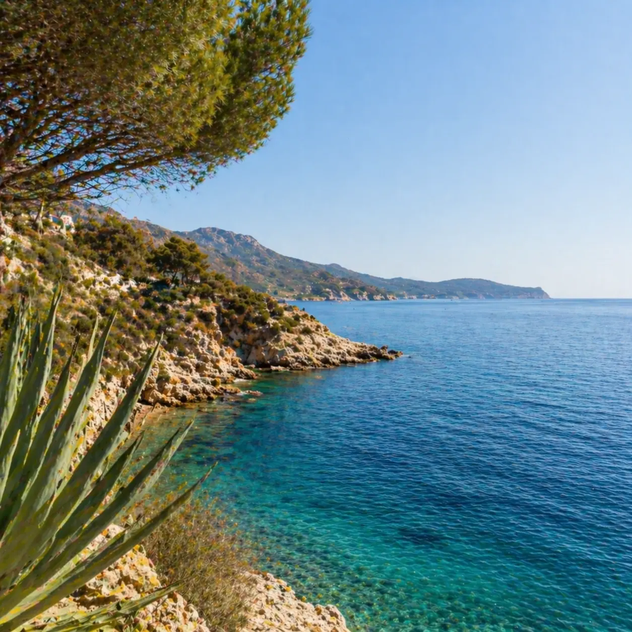 Vivre au soleil - Destinations au soleil Vivre au soleil - Destinations au soleil